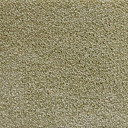 Ковролин Radici Lord Lime 245C  | FLOORDEALER